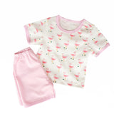 Pink Flamingos Baby clothes