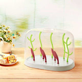 Baby Bottle Drying Rack